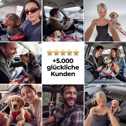 saferide-hundegurt-elastischer-ruckdaempfer-airbag-effekt