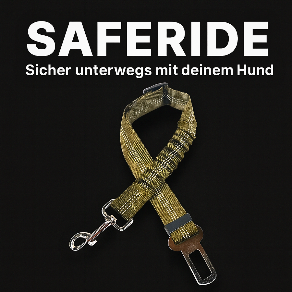 SafeRide